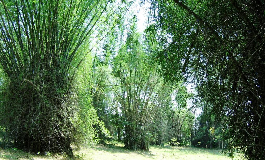 Marg Stream Valley Витхири Экстерьер фото