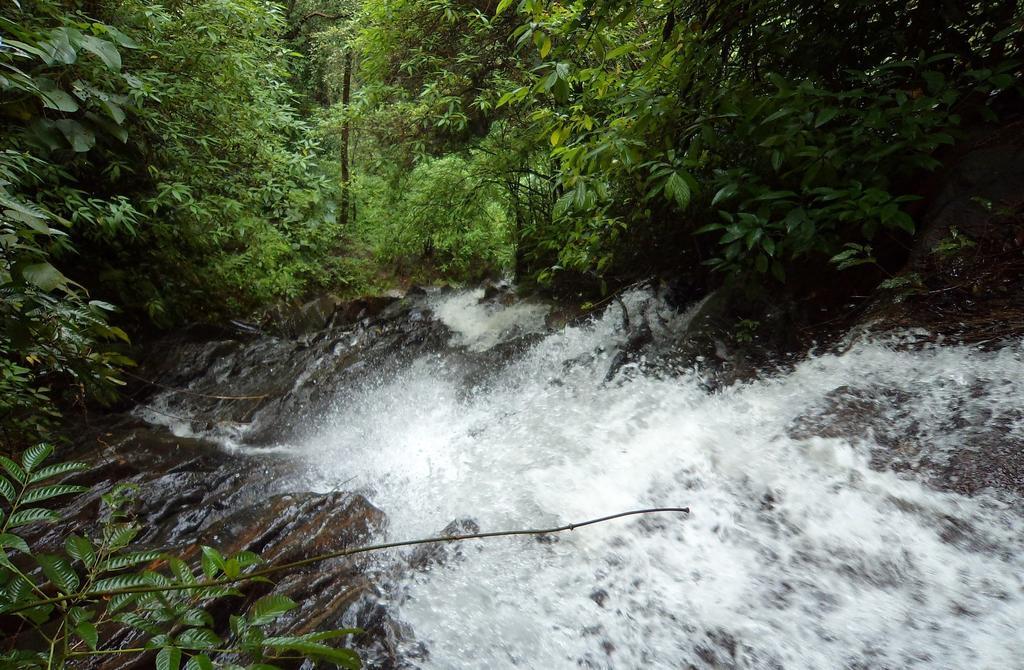 Marg Stream Valley Витхири Экстерьер фото